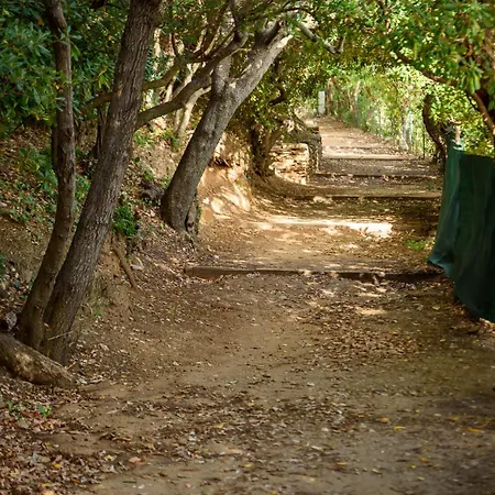 Laminerve Pramousquier Вилла Ле-Лаванду