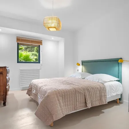 Laminerve Pramousquier