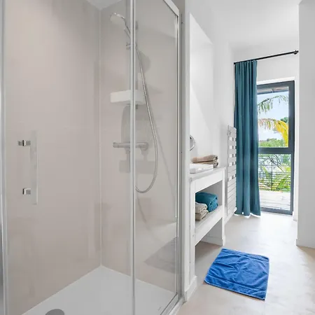 Laminerve Pramousquier