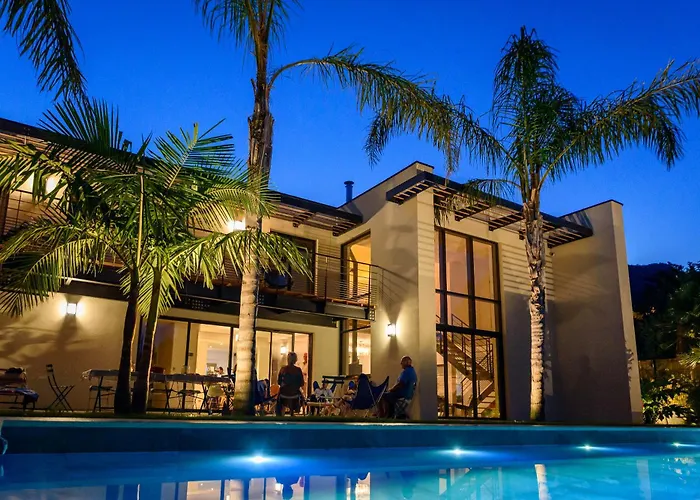 Laminerve Pramousquier *