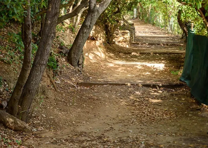Laminerve Pramousquier Villa Le Lavandou
