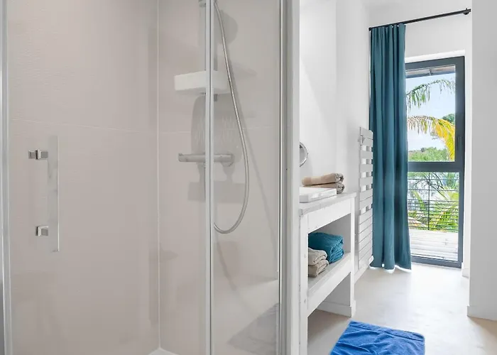 Laminerve Pramousquier